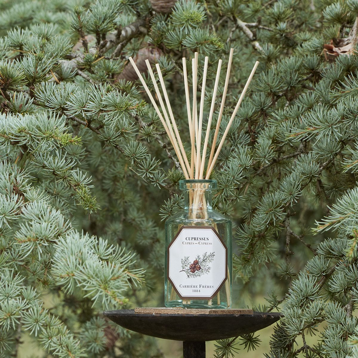 Cypress Diffuser - SNUD