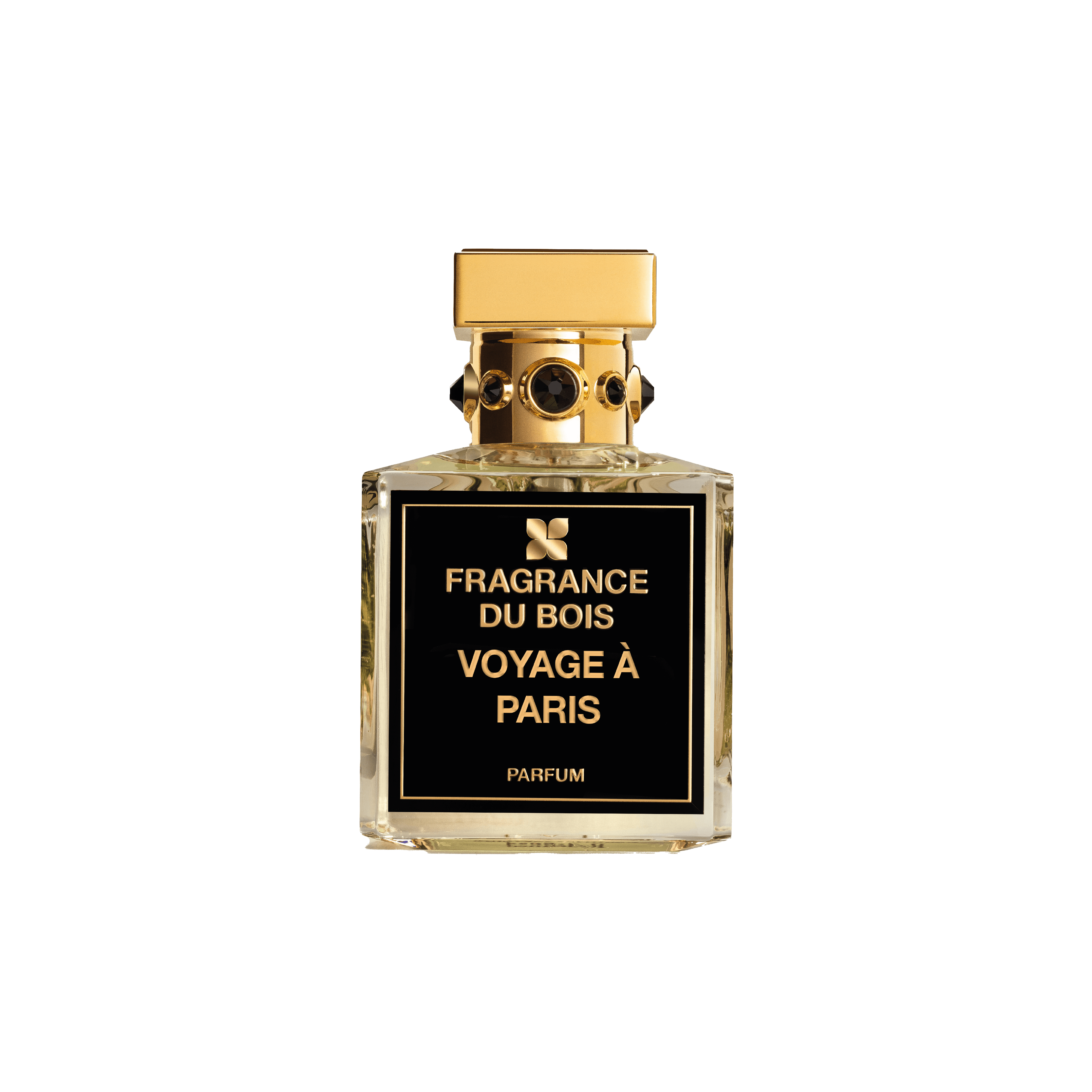 Voyage à Paris - SNUD