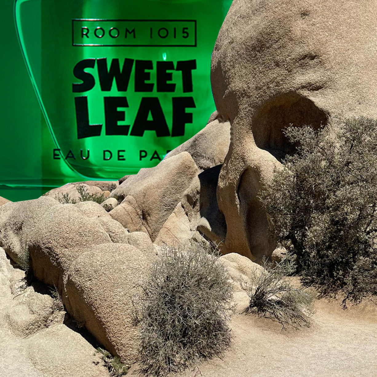 Sweet Leaf - SNUD