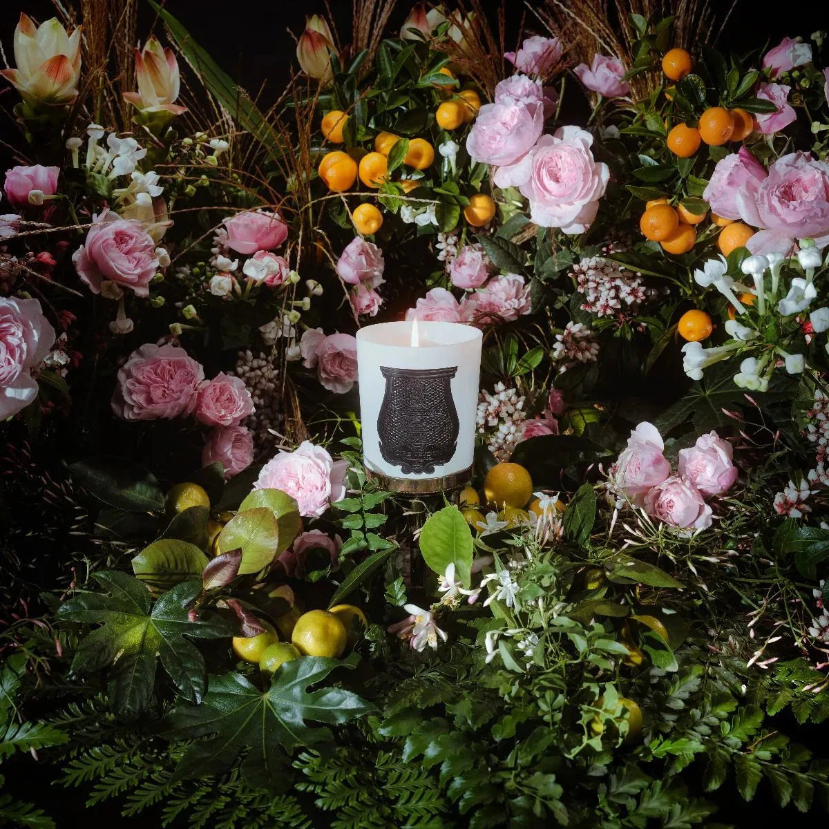 Rose Poivrée - SNUD