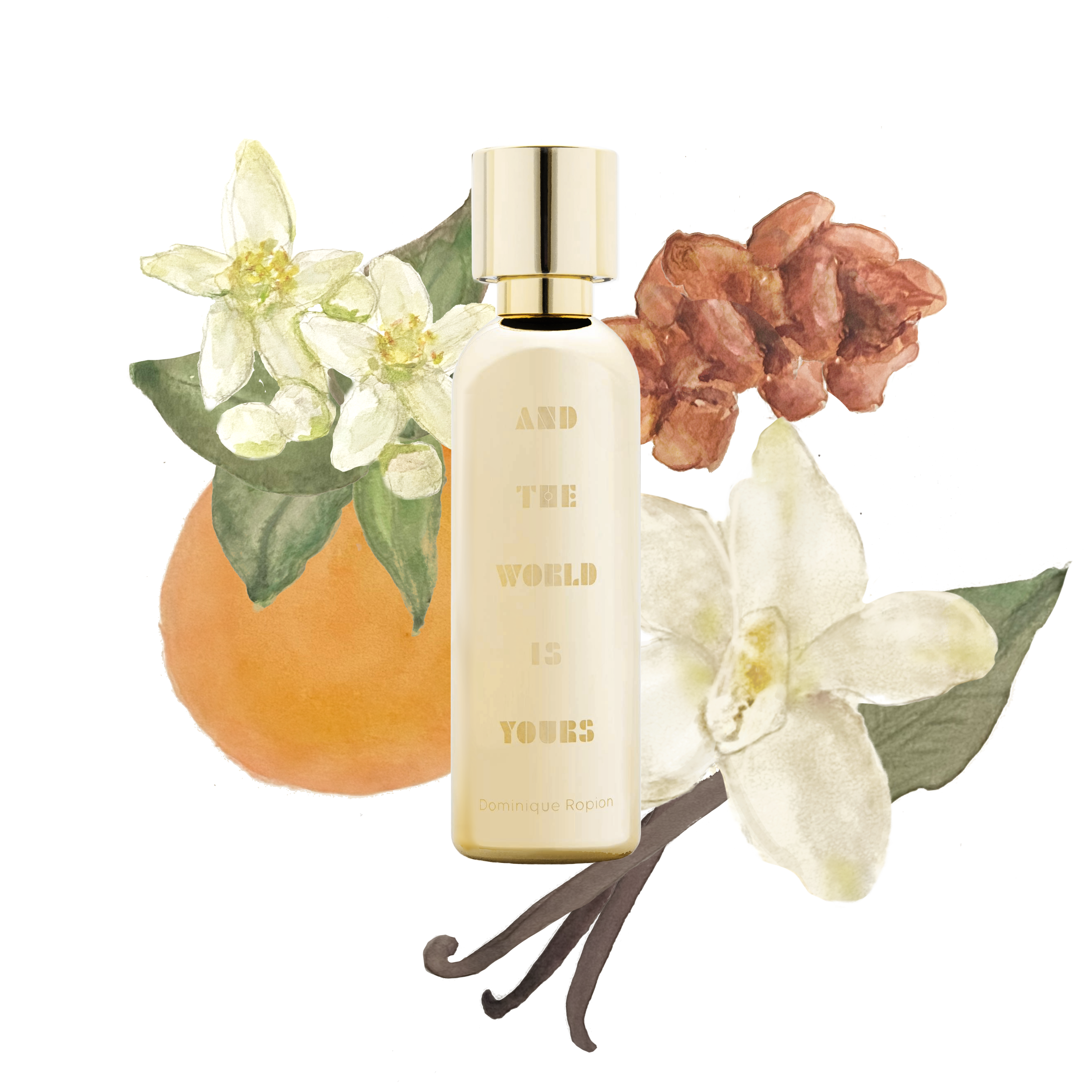 And The World Is Yours Parfum Orangenblüte Vanille Tonka Unisex Nischenduft elegant warm