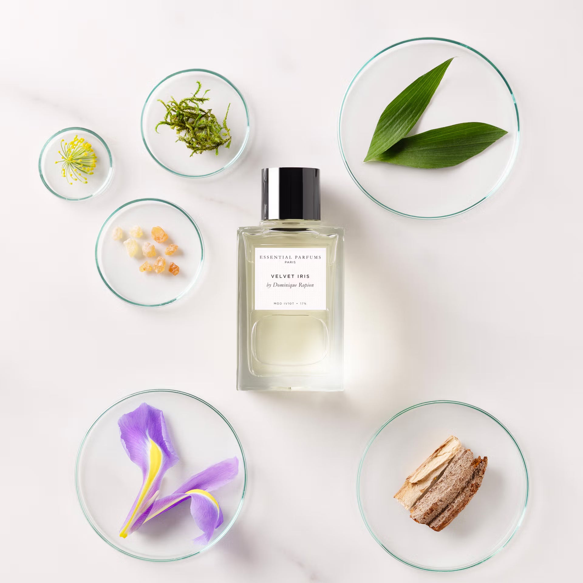 Fig Infusion