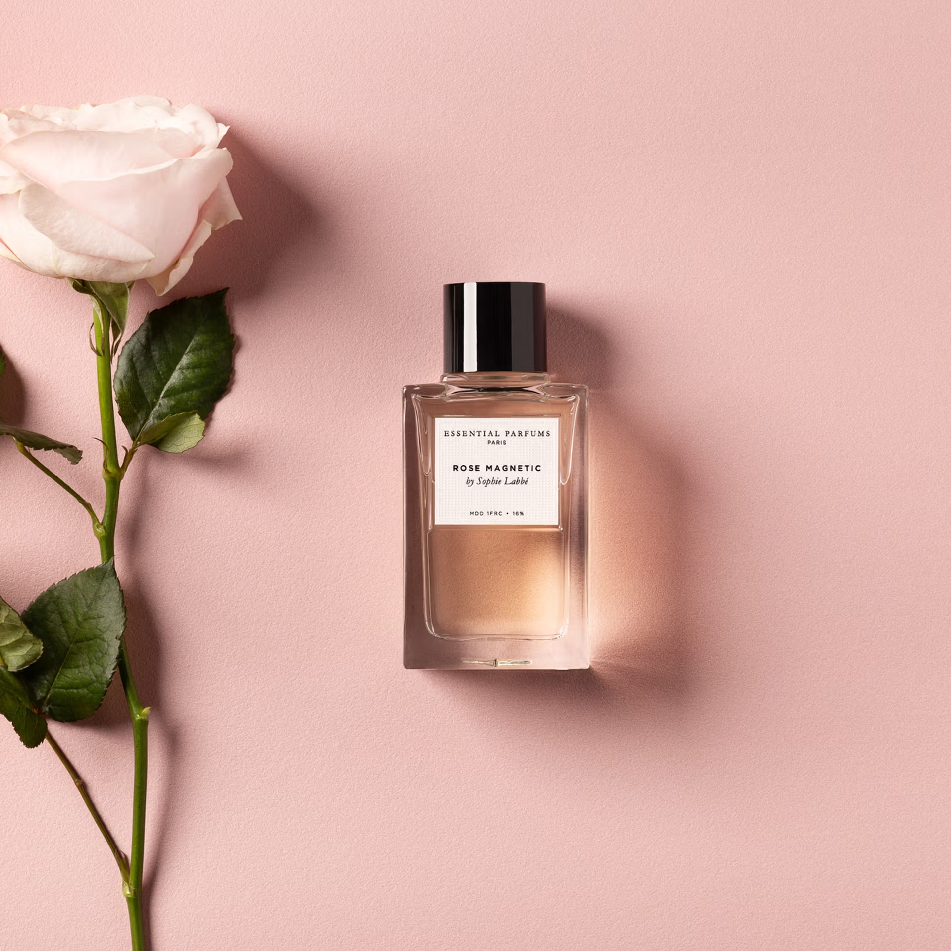 Essential Parfums Rose Magnetic mood bottle and rose - SNUD
