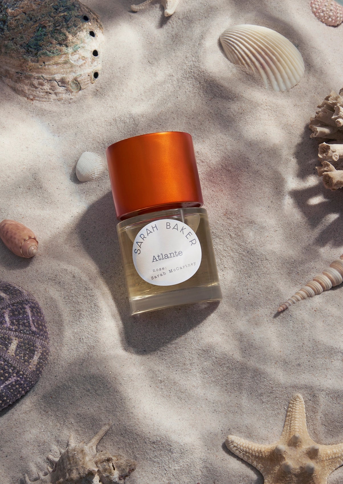 Sarah Baker Atlante mood - SNUD