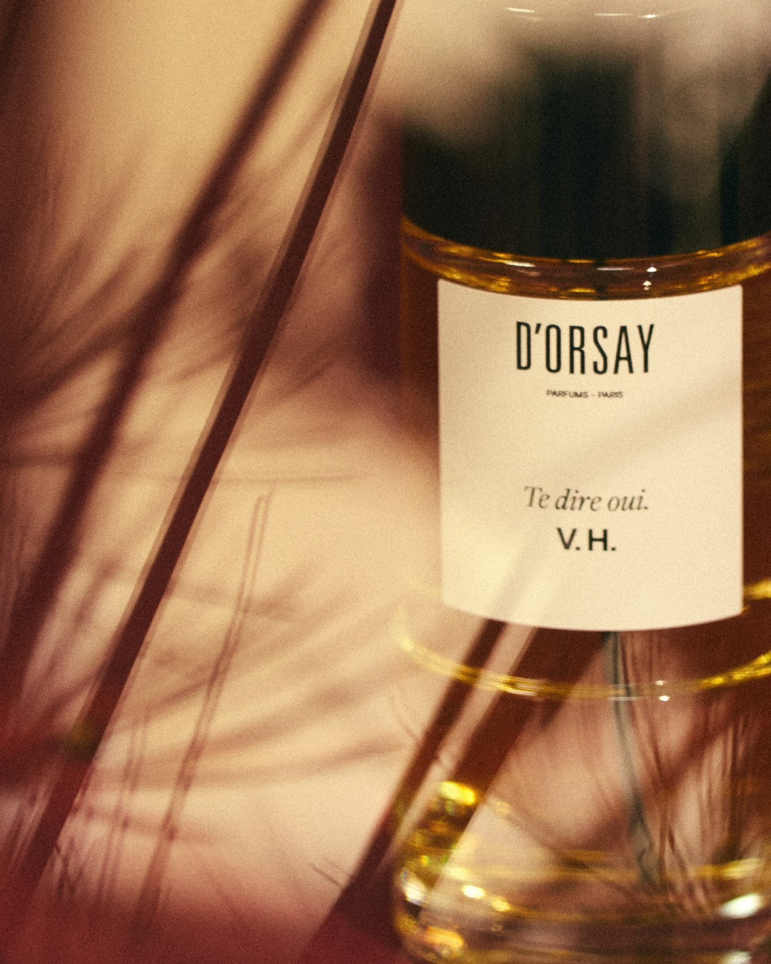 D'Orsay V.H. Te dire qui