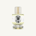 Zoologist Koala Extrait de Parfum – aromatischer Nischenduft mit Eukalyptus, schwarzem Tee, Weihrauch, Vetiver und Sandelholz