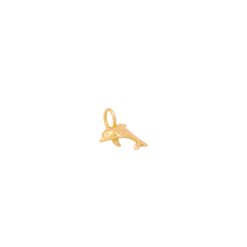 all about articus dophin charm
