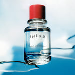 Fjällsjö Eau de Parfum von Björk and Berries, cleaner frischer Duft mit Moschus Ambroxan Unisex Duft wie frisch geduscht
