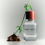 Never Spring von Björk and Berries ist ein Eau de Parfum, ein frischer grüner Duft mit Zitrone Bambus Moschus Unisex Nischenparfum Frühling