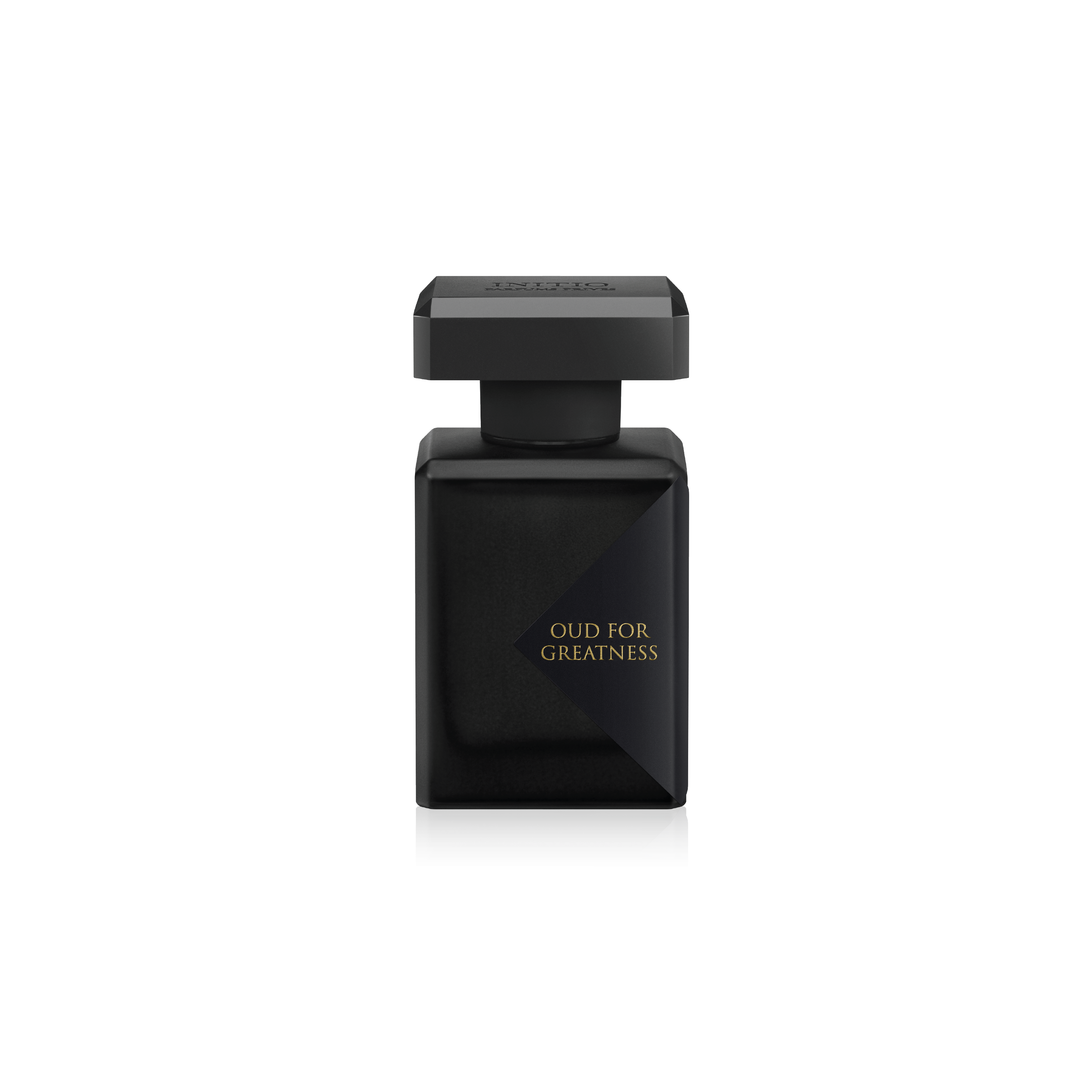 Oud for Greatness Hair Mist - SNUD