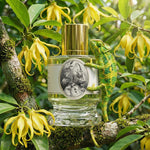 Zoologist Chameleon Tropical Blooms Edition Extrait de Parfum – tropischer Nischenduft mit Ylang-Ylang, Guave, Passionsfrucht und Sandelholz