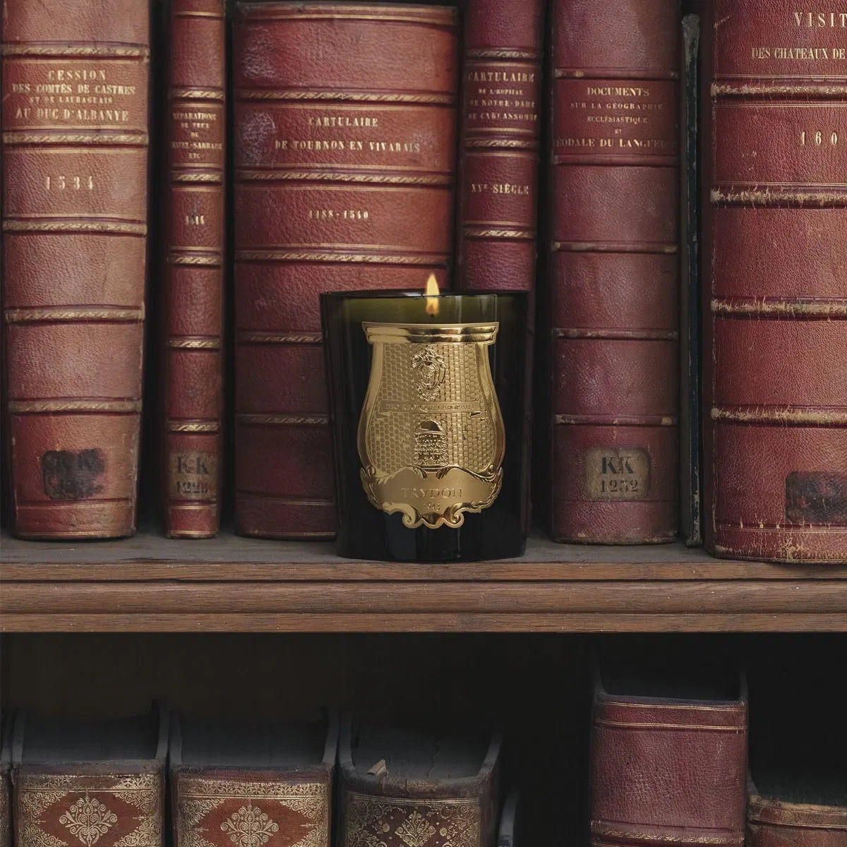 trudon spiritus sancti